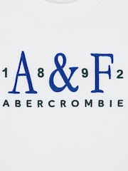 Abercrombie & Fitch Signature Short Sleeve T-Shirt - Slika 3 od 4