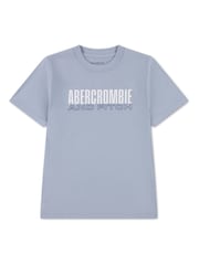 Abercrombie & Fitch Logo Short Sleeve T-Shirt - Imaginea 1 din 3