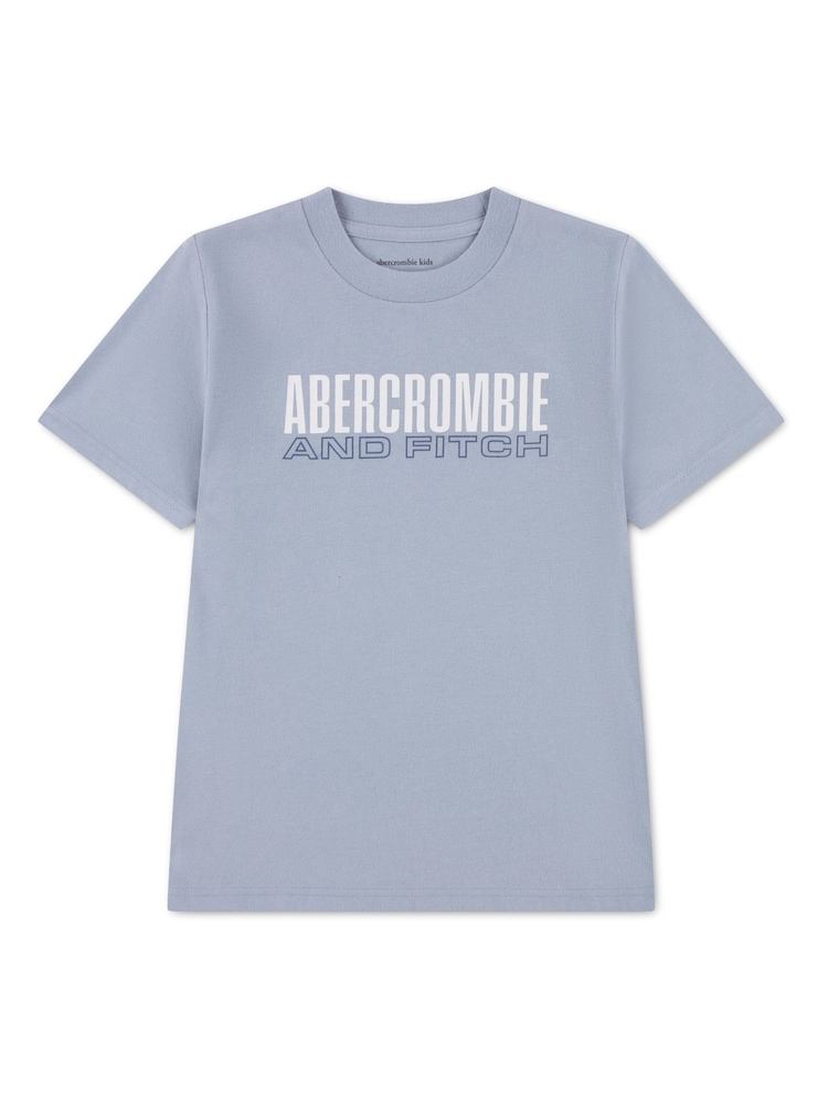 Abercrombie & Fitch Logo Short Sleeve T-Shirt - Imaginea 1 din 3