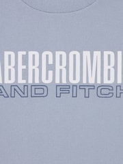 Abercrombie & Fitch Logo Short Sleeve T-Shirt - Imaginea 3 din 3