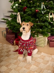 Burgundy Red Wallace and Gromit Matching Family Christmas Pet Pyjamas - Image 1 of 4