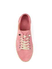 Lunar Pink Maddison II Suede Plimsoll Shoes - Image 3 of 5