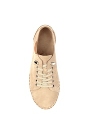 Lunar Brown Maddison II Suede Plimsoll Shoes - Image 5 of 5