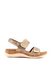 זהב - Lunar Beatrice Hook And Loop Sandals - תמונה 4 מתוך 7