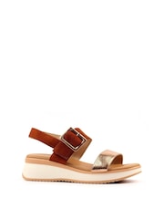 חום - Lunar סנדלים, דגם Dion - תמונה 3 מתוך 7