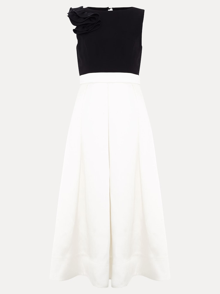 Phase Eight Black Petite Perla Dress - Image 7 of 7 Phase Eight Black Petite Perla Dress - Image 7 of 7