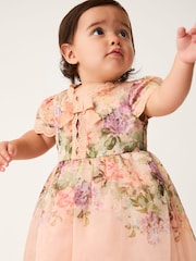 Monsoon Baby Alma Floral Print Lace Dress - Εικόνα 1 του 4