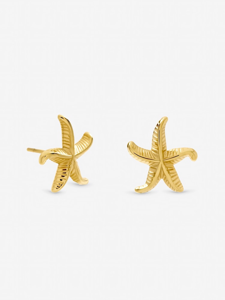 Jon Richard Gold Tone Waterproof Coastal Starfish Earrings - Image 1 of 3 Jon Richard Gold Tone Waterproof Coastal Starfish Earrings - Image 1 of 3