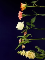 Pastel Stocks and Roses Flower Letterbox Bouquet - Image 6 of 6