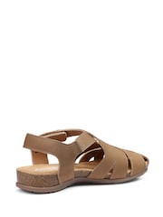 Hotter Brown Regular Fit Carpa Touch Fastening Casual Sandals - Image 3 of 5