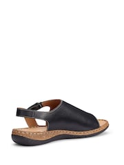 Hotter Black Standard Fit Mena Touch-Fastening Casual Sandals - Image 3 of 4