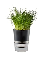 GEFU Botanico Herb Pot - Image 4 of 5
