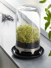 GEFU Black Or Silver Bivita Sprouting Jar - Image 2 of 5