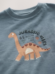 Grey Dino Jurassic Vibes Long Sleeve Graphic T-Shirt (3mths-7yrs) - Image 3 of 4