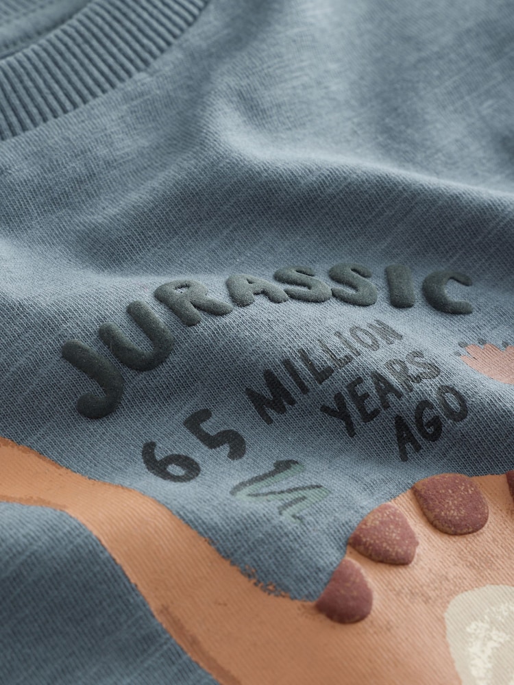 Grey Dino Jurassic Vibes Long Sleeve Graphic T-Shirt (3mths-7yrs) - Image 4 of 4 Grey Dino Jurassic Vibes Long Sleeve Graphic T-Shirt (3mths-7yrs) - Image 4 of 4
