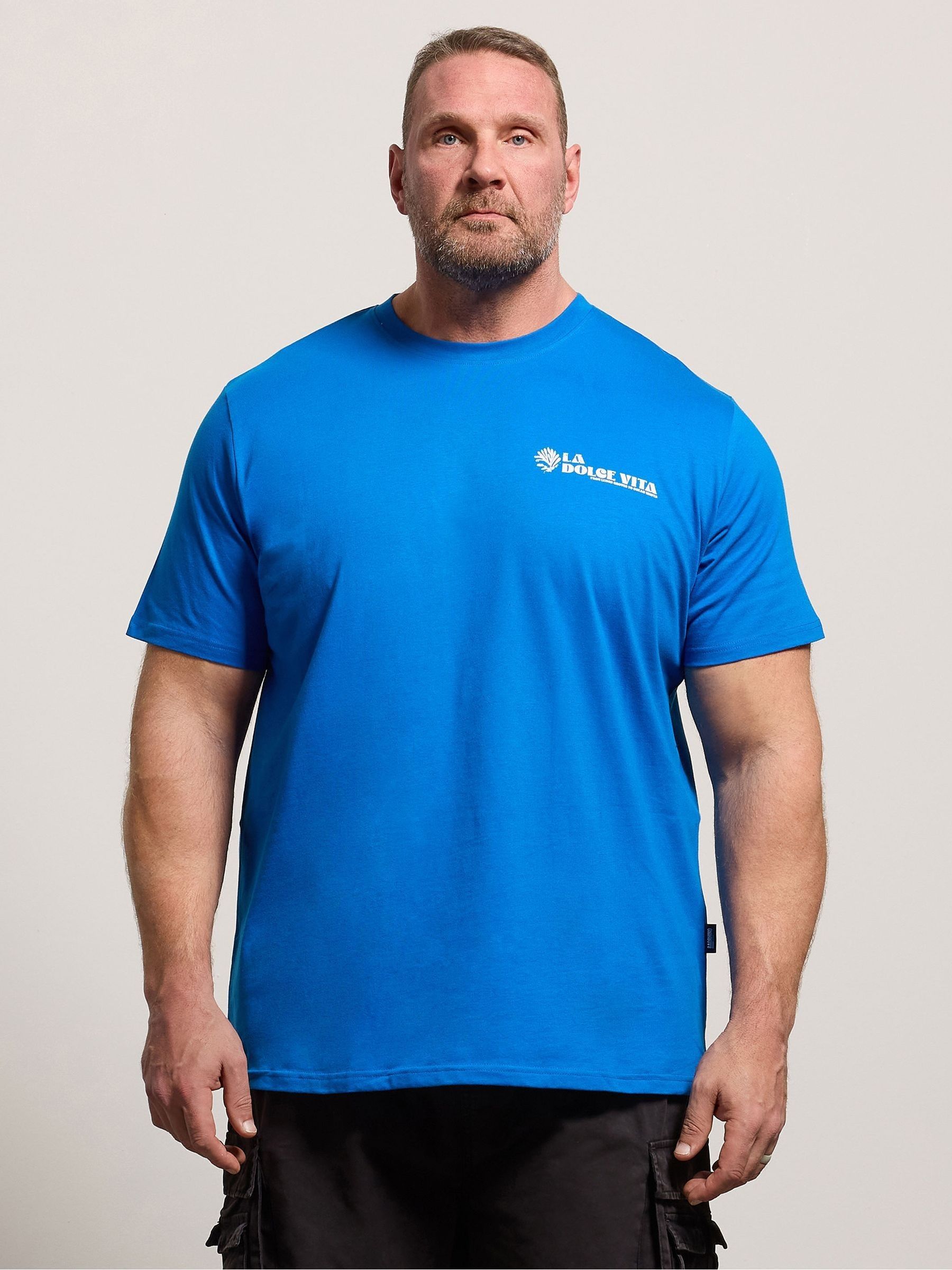 Buy BadRhino Big & Tall Blue Amalfi Coast T-Shirt from Next USA