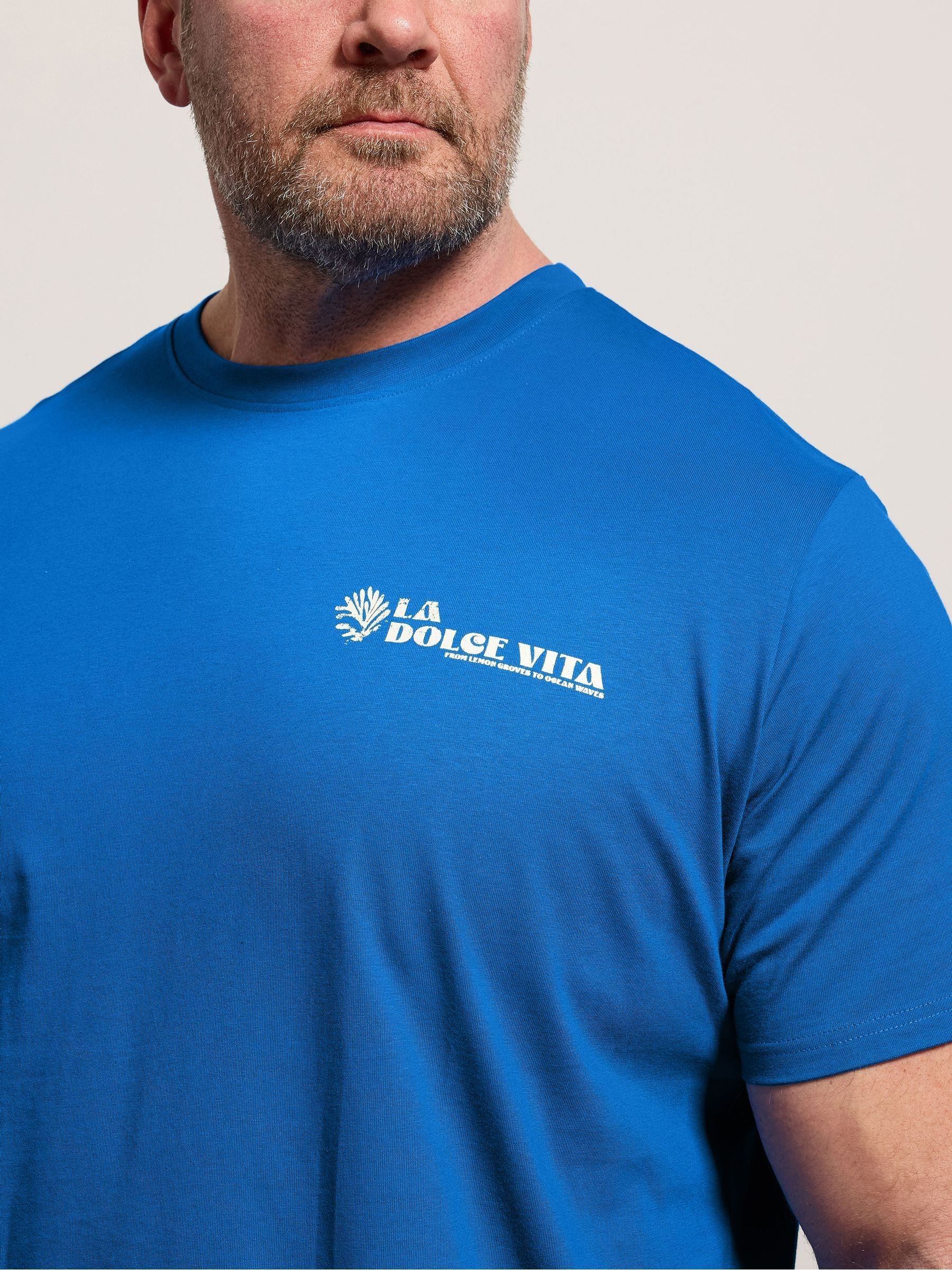 Buy BadRhino Big & Tall Blue Amalfi Coast T-Shirt from Next USA