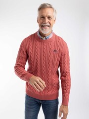 Weird Fish Red Griffen Cable Knit Jumper - Image 1 of 6