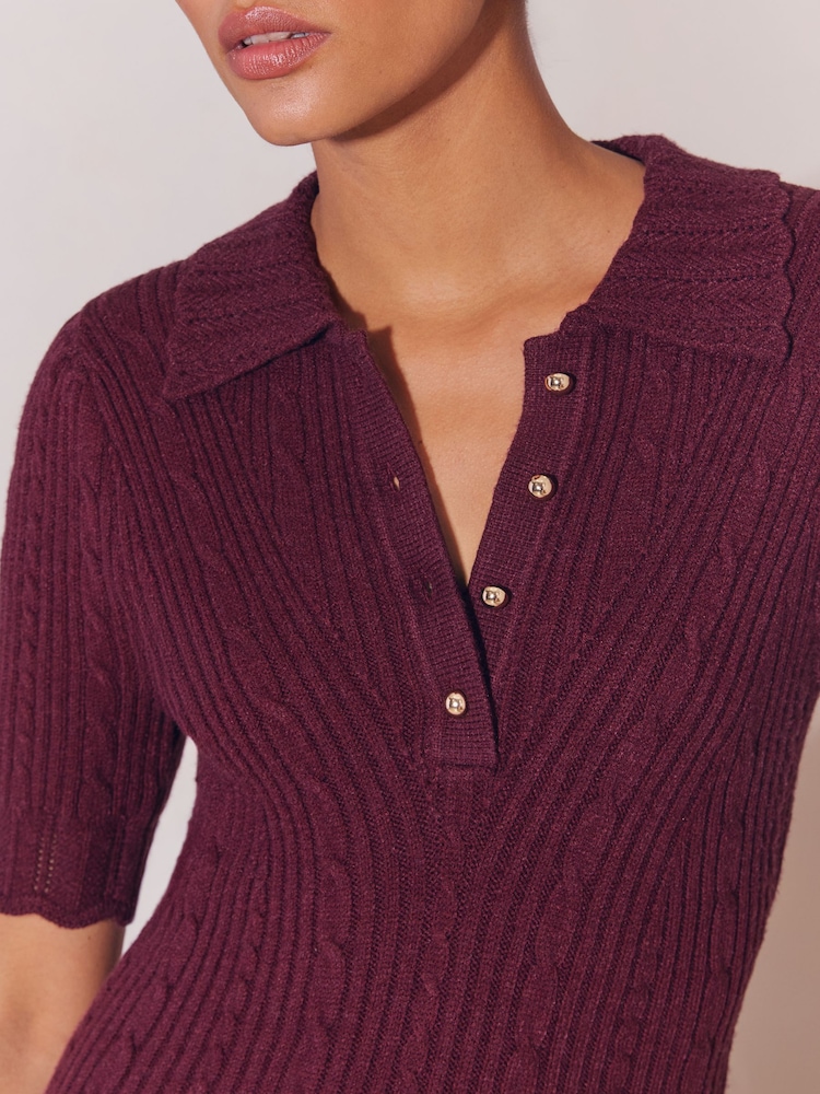 Lipsy Berry Red Petite Knitted Polo Collar Mini Dress - Image 2 of 4