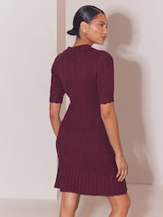 Lipsy Berry Red Petite Knitted Polo Collar Mini Dress - Image 4 of 4