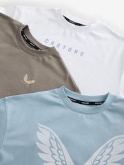 Blauw/Wit/Bruin - Castore Oversized Short Sleeve Logo Cotton T-Shirts 3 Pack - Afbeelding 20 van 20