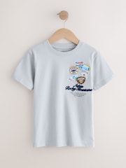 Grey Ski Badge Relaxed Fit Short Sleeve Graphic T-Shirt (3-16yrs) - Image 1 of 4