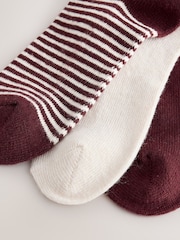 Berry Stripe/Cream - מארז 3 זוגות גרבי קרסול מתערובת צמר תרמיים - תמונה 5 מתוך 6