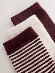 Berry Stripe/Cream - מארז 3 זוגות גרבי קרסול מתערובת צמר תרמיים - תמונה 6 מתוך 6