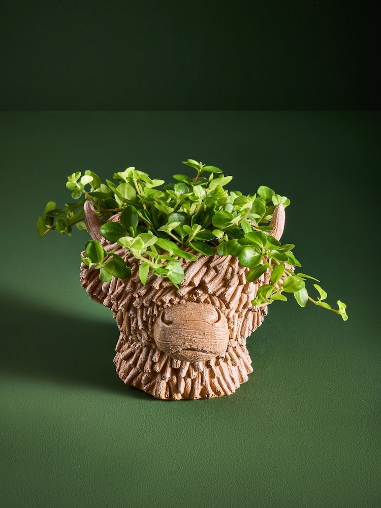 Brown Hamish Head Planter With Real Plant - Image 1 of 4
