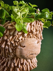 Brown Hamish Head Planter With Real Plant - Image 2 of 4