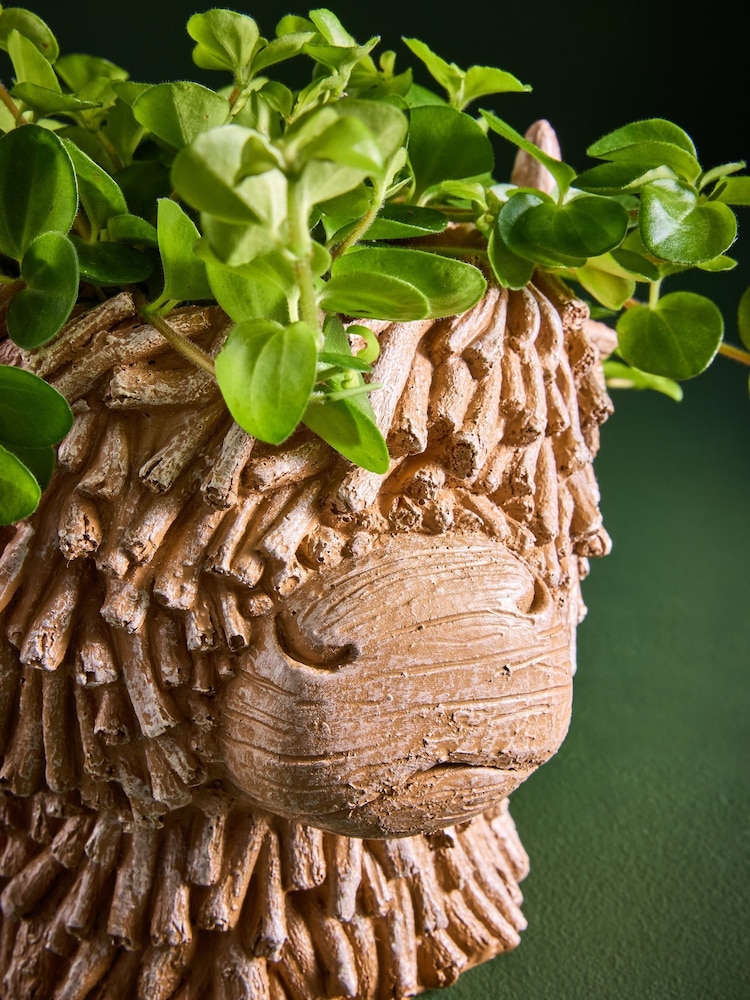 Brown Hamish Head Planter With Real Plant - Image 2 of 4