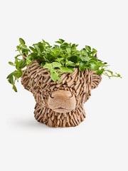 Brown Hamish Head Planter With Real Plant - Image 3 of 4