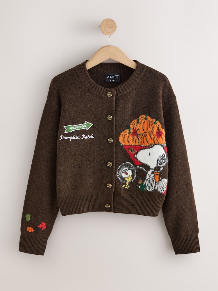 Brown Peanuts Snoopy License Long Sleeve Knitted Crew Neck Jumper With Wool - Image 1 of 2 Brown Peanuts Snoopy License Long Sleeve Knitted Crew Neck Jumper With Wool - Image 1 of 2