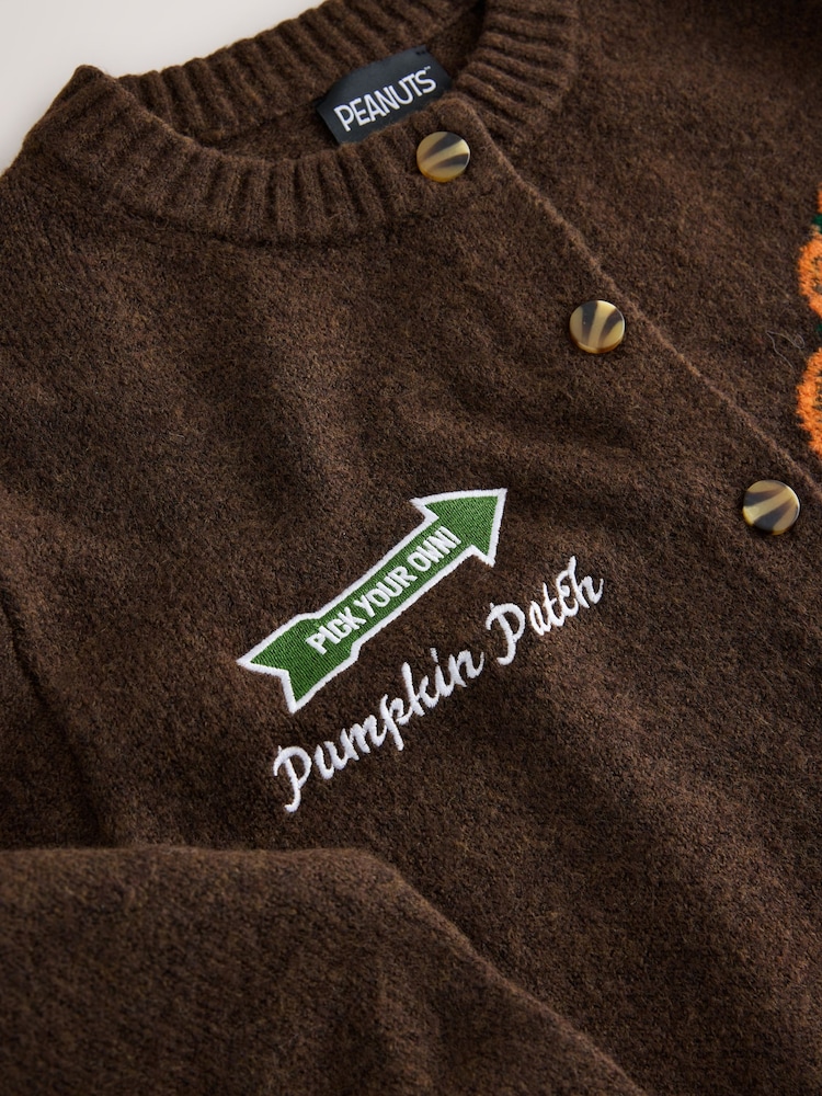 Brown Peanuts Snoopy License Long Sleeve Knitted Crew Neck Jumper With Wool - Image 2 of 2 Brown Peanuts Snoopy License Long Sleeve Knitted Crew Neck Jumper With Wool - Image 2 of 2