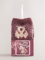 Christmas Capybara Cosy Socks In A Gift Box - Image 4 of 7