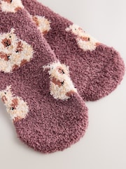 Christmas Capybara Cosy Socks In A Gift Box - Image 7 of 7