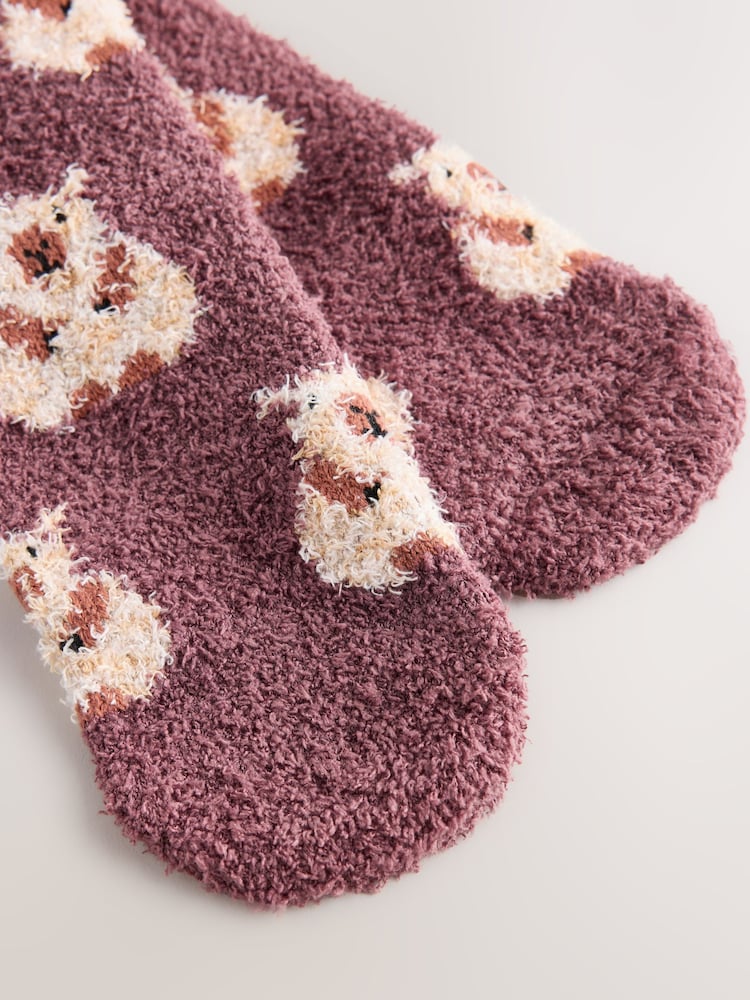 Christmas Capybara Cosy Socks In A Gift Box - Image 7 of 7