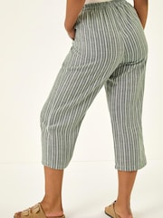 Roman Green Petite Stripe Cropped Wide Leg Trousers - Image 3 of 5