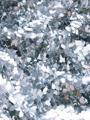 Silver N.Premium Short Sleeve Sequin Midi Dress - Image 7 of 7