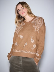 Brown emb Supersoft Crew Neck Long Sleeve Jumper - Image 1 of 4