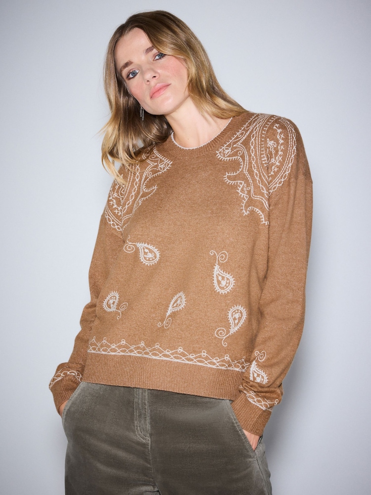 Brown emb Supersoft Crew Neck Long Sleeve Jumper - Image 1 of 4