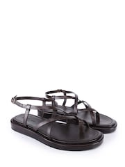 Off The Hook Brown Zen Leather Strappy Toe Loop Sandals with Ankle Strap - Image 1 of 6