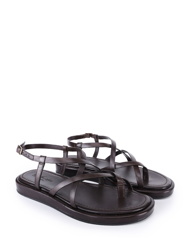 Off The Hook Brown Zen Leather Strappy Toe Loop Sandals with Ankle Strap - Image 1 of 6 Off The Hook Brown Zen Leather Strappy Toe Loop Sandals with Ankle Strap - Image 1 of 6