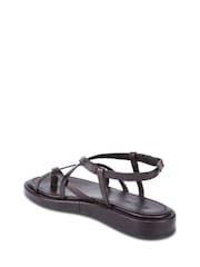 Off The Hook Brown Zen Leather Strappy Toe Loop Sandals with Ankle Strap - Image 3 of 6