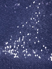 Friends Like These Blue Short Sleeve Sequin Top With Subtle Shoulder Pad - Image 6 of 6