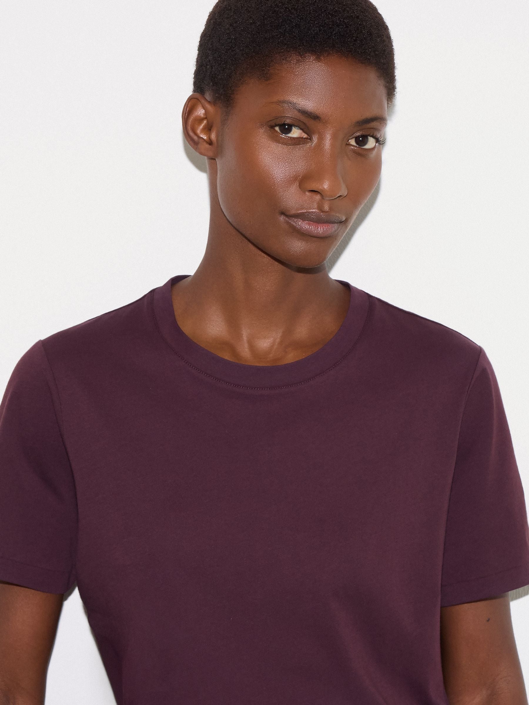 Buy Jigsaw Purple Supima Cotton Crew Neck T-Shirt from the Next UK