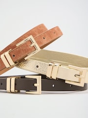 Choc, Animal and Gold Skinny Belts 3 Pack - Image 6 of 6