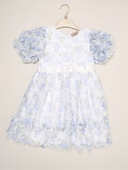 Miss Blue Floral Mesh Dress with Ruffle Sleeves - Image 2 of 3