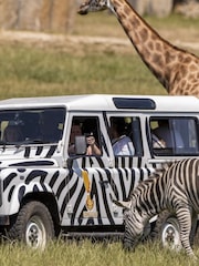 Virgin Experience Days Longleat Bronze VIP Truck Safari Tour with Park Admission - Image 1 of 4