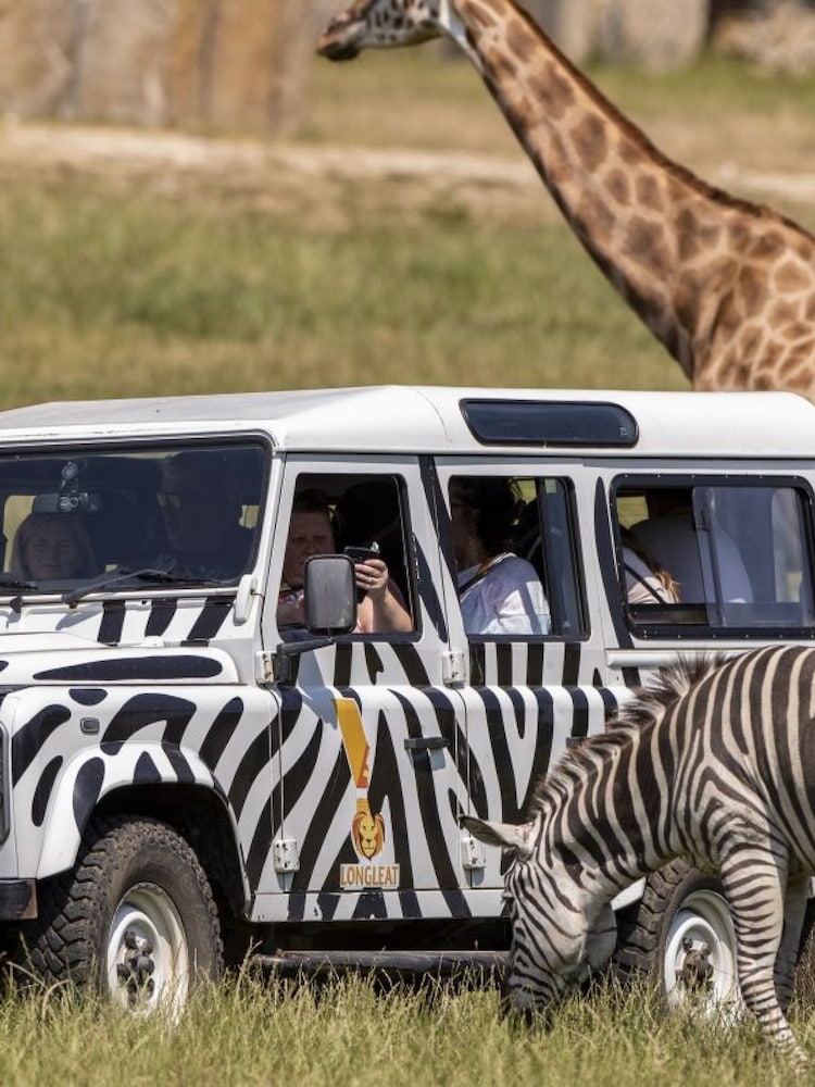 Virgin Experience Days Longleat Bronze VIP Truck Safari Tour with Park Admission - Image 1 of 4